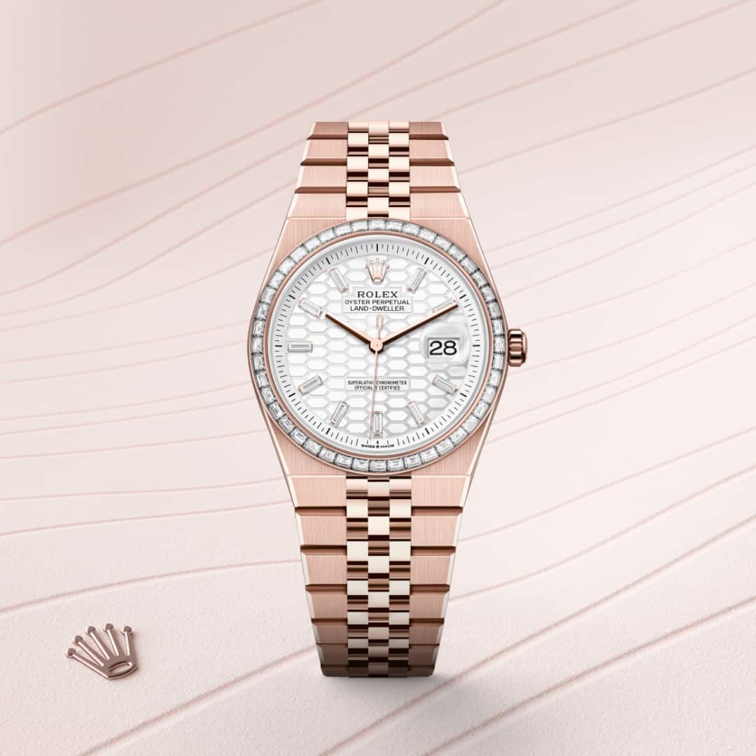 Rolex Land-Dweller in 18 kt Everose gold, M127285TBR-0002 - Clarkson Jewelers