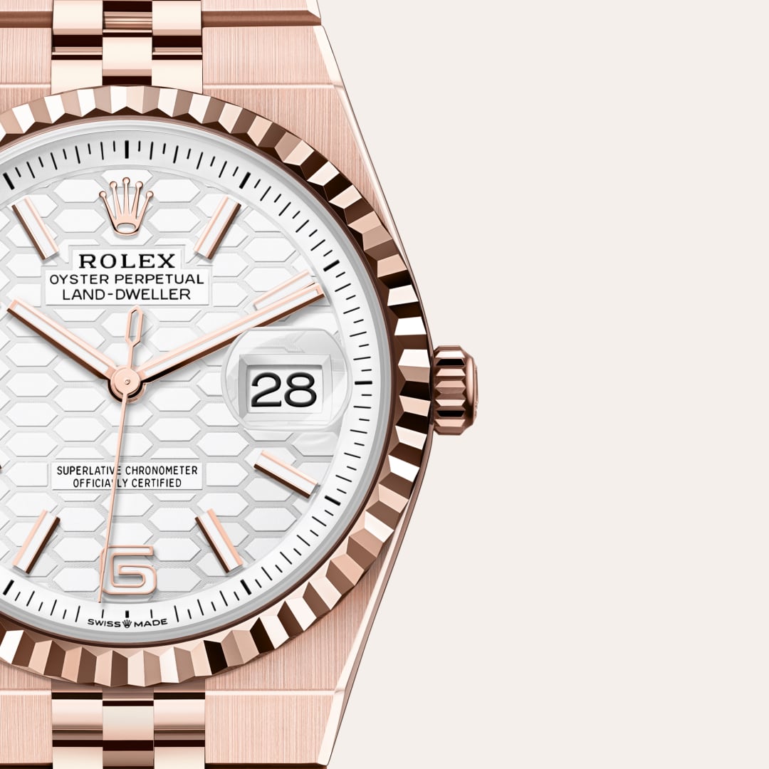 Rolex Land-Dweller in 18 kt Everose gold, M127235-0001 - Blakemans Jewelry
