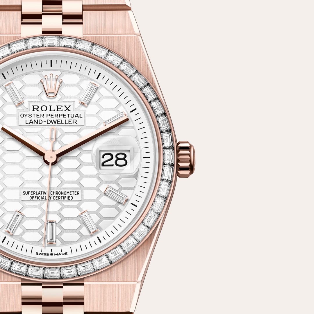 Rolex Land-Dweller in 18 kt Everose gold, M127285TBR-0002 - Clarkson Jewelers