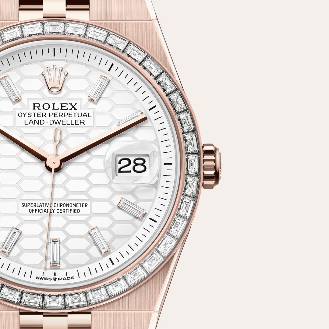 Rolex Land-Dweller in 18 kt Everose gold, M127385TBR-0003 - Schiffman's Jewelers