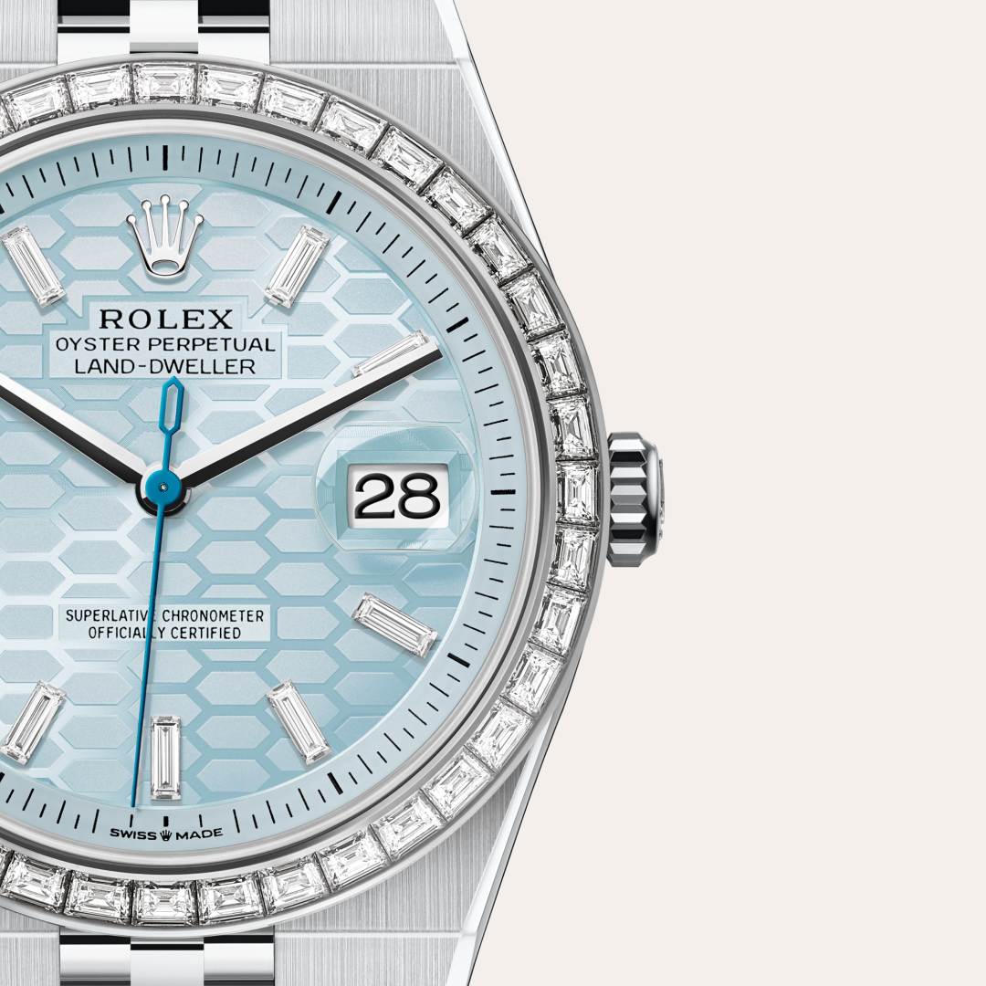 Rolex Land-Dweller in Platinum, M127386TBR-0001 - Lenox Jewelers