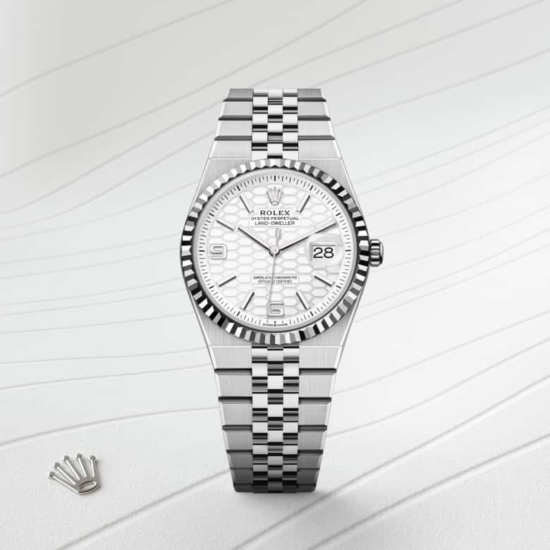 Rolex Land-Dweller in White Rolesor - combination of Oystersteel and white gold, M127234-0001 - Orrs Jewelers