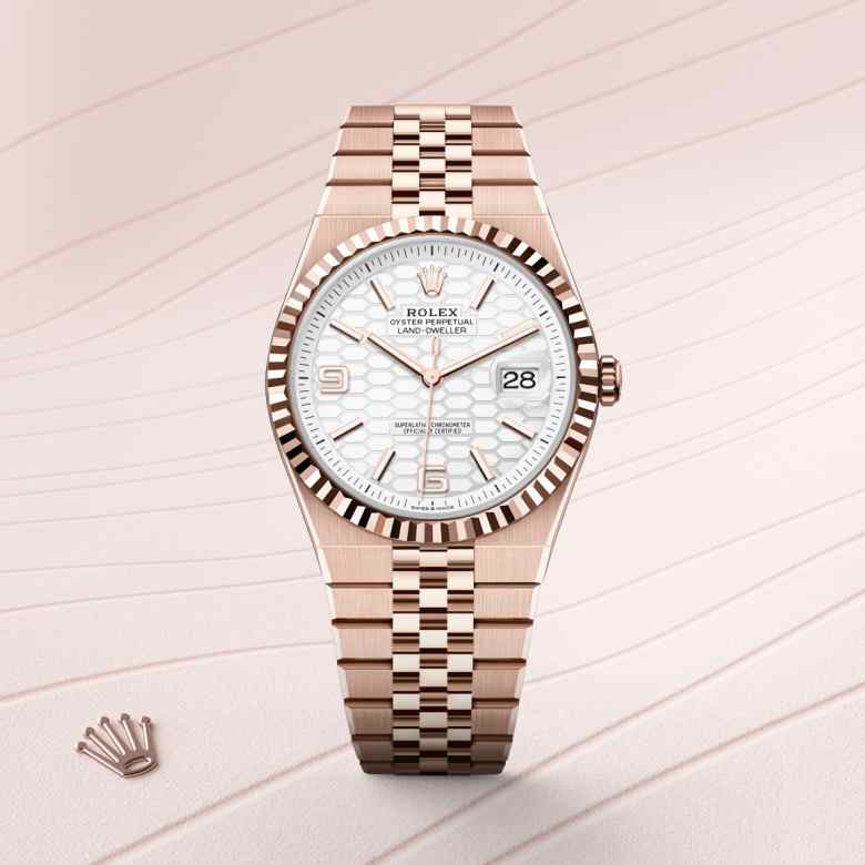 Rolex Land-Dweller in 18 kt Everose gold, M127335-0001 - Blakemans Jewelry