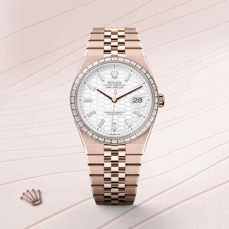 Rolex Land-Dweller in 18 kt Everose gold, M127385TBR-0003 - Schiffman's Jewelers