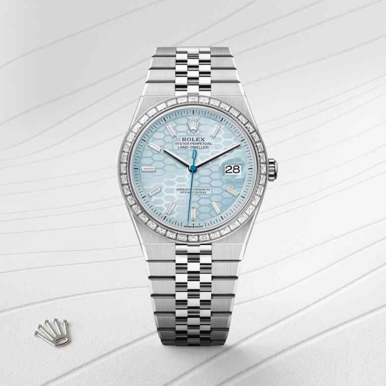 Rolex Land-Dweller in Platinum, M127386TBR-0001 - Lenox Jewelers