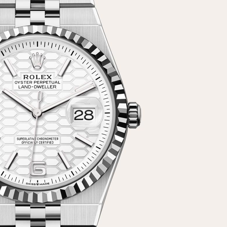 Rolex Land-Dweller in White Rolesor - combination of Oystersteel and white gold, M127234-0001 - Orrs Jewelers