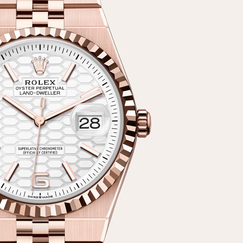 Rolex Land-Dweller in 18 kt Everose gold, M127235-0001 - Blakemans Jewelry