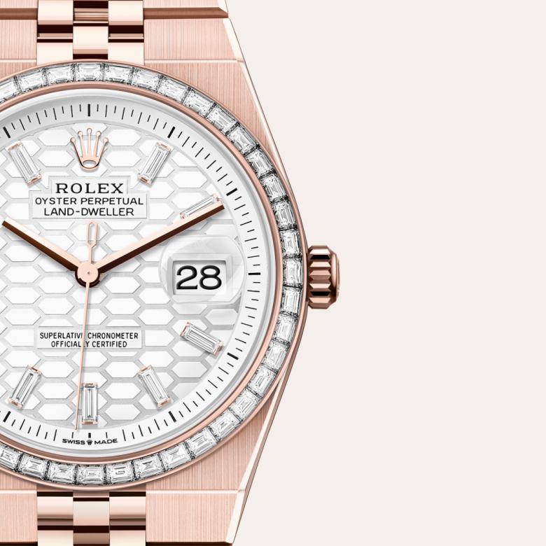 Rolex Land-Dweller in 18 kt Everose gold, M127285TBR-0002 - Clarkson Jewelers