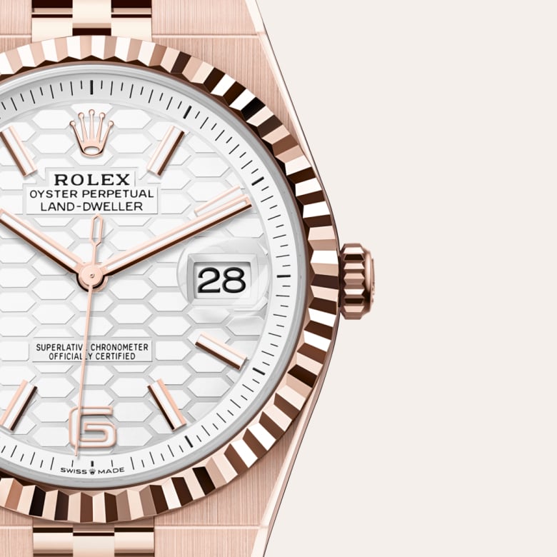 Rolex Land-Dweller in 18 kt Everose gold, M127335-0001 - Blakemans Jewelry