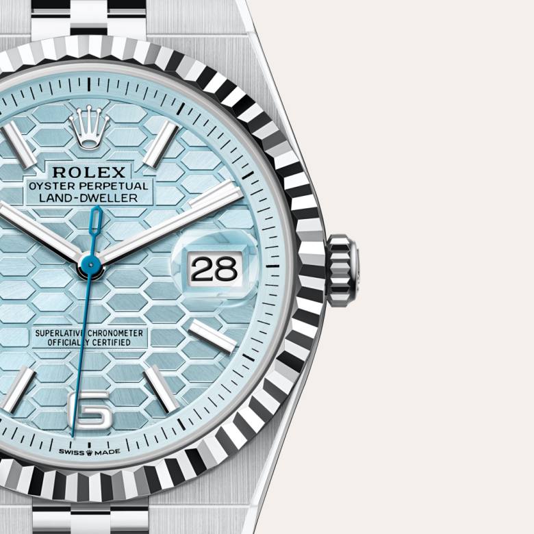 Rolex Land-Dweller in Platinum, M127336-0001 - Blakemans Jewelry