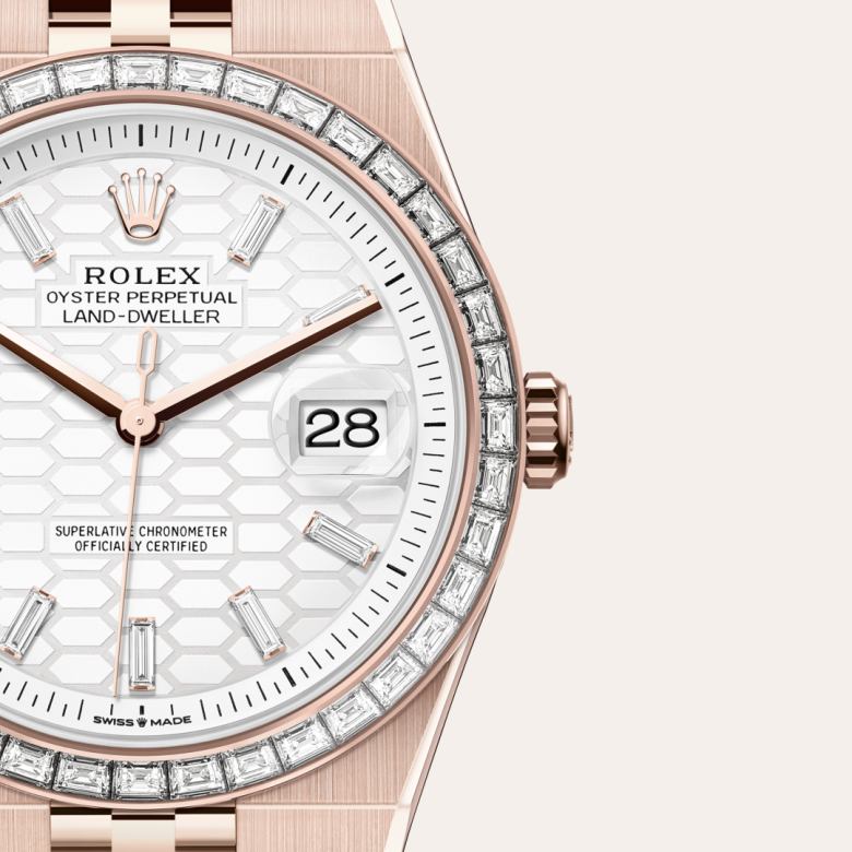 Rolex Land-Dweller in 18 kt Everose gold, M127385TBR-0003 - Schiffman's Jewelers